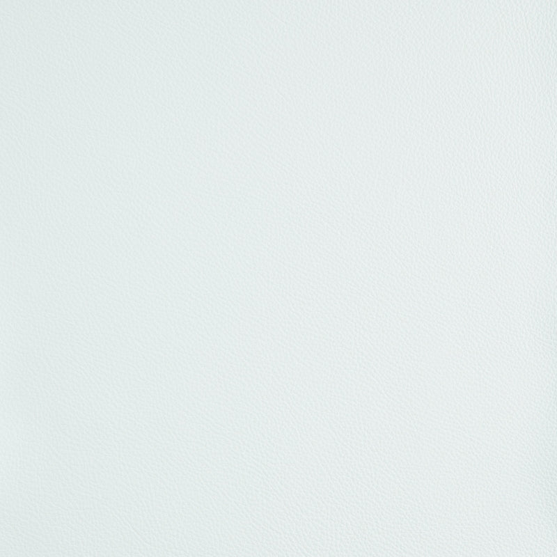 Kaleidoscope Linea Whole Hides - Neutrals