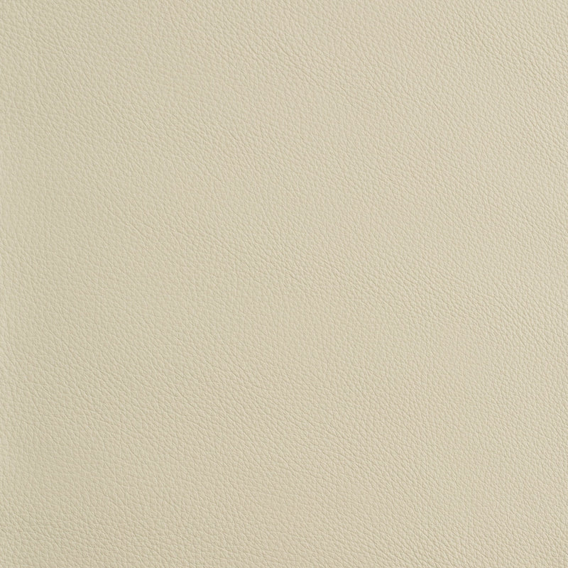 Kaleidoscope Prescott Whole Hides - Cool Tones