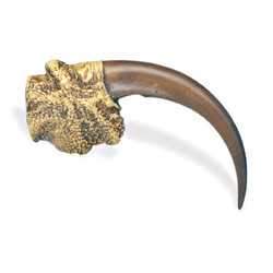 Cast Resin Eagle Claw