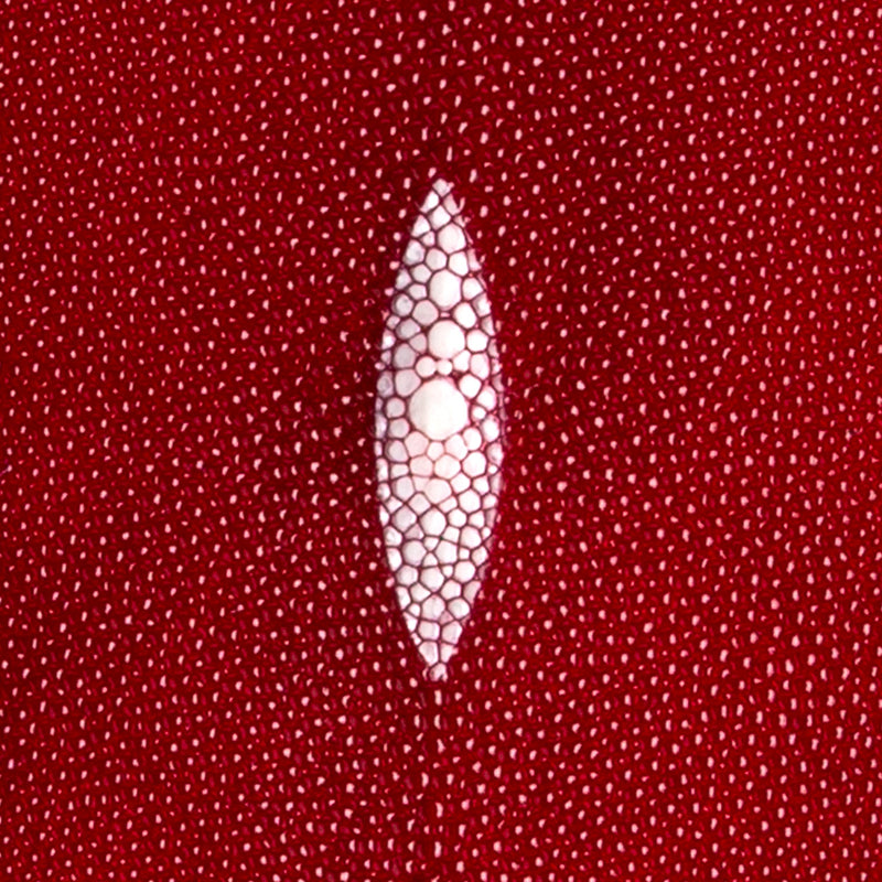 Stingray Small Skin