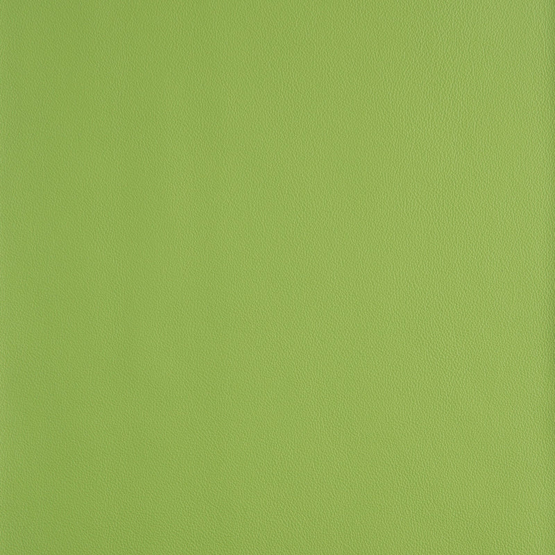 Kaleidoscope Linea Whole Hides - Brights