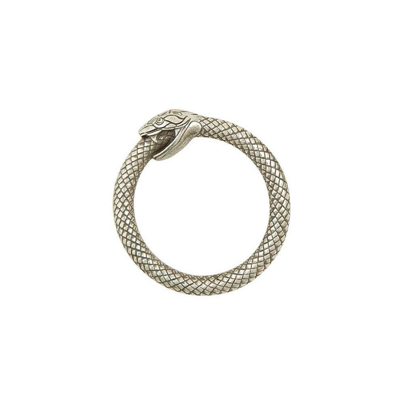 Infinity Snake Rings