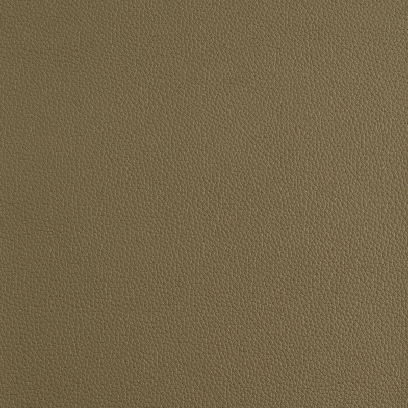 Kaleidoscope Prescott Whole Hides - Cool Tones