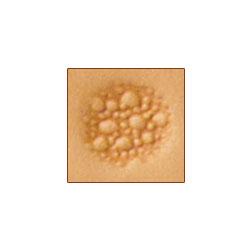 M882 Craftool® Matting Stamp