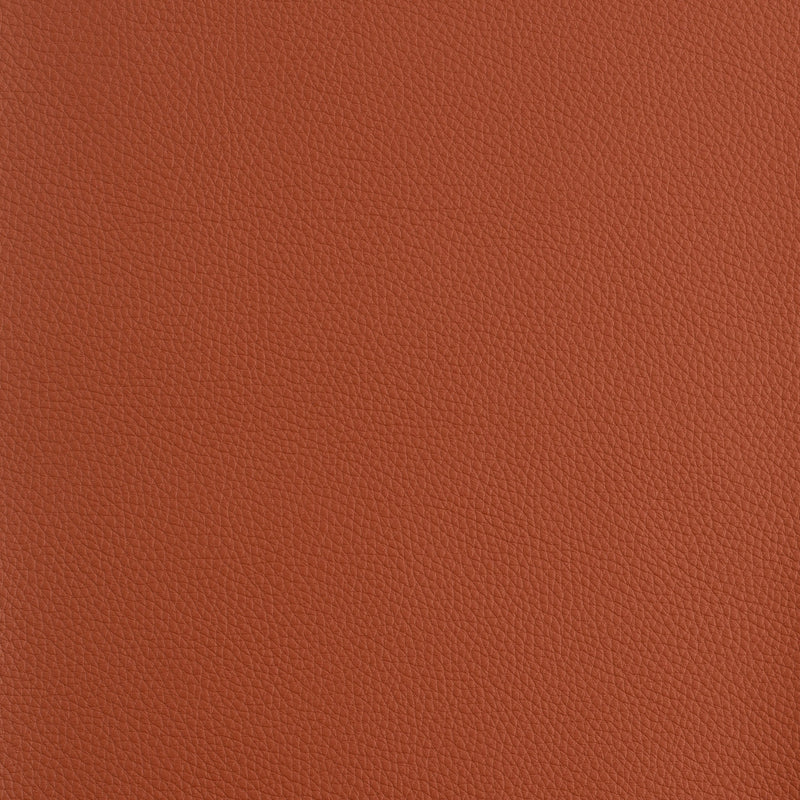 Kaleidoscope Prescott Whole Hides - Tons chauds