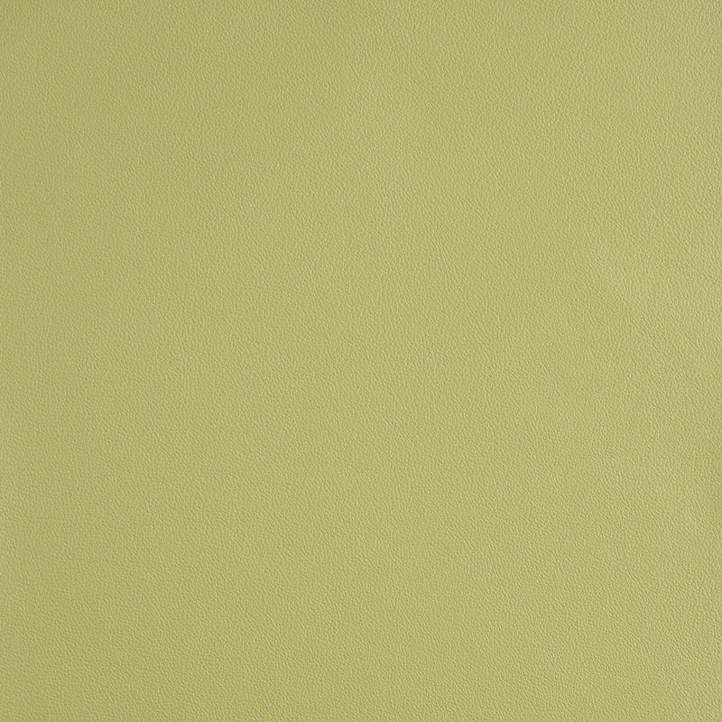 Kaleidoscope Linea Whole Hides - Brights