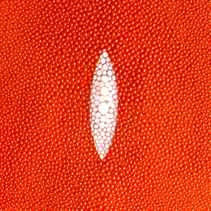 Stingray Small Skin