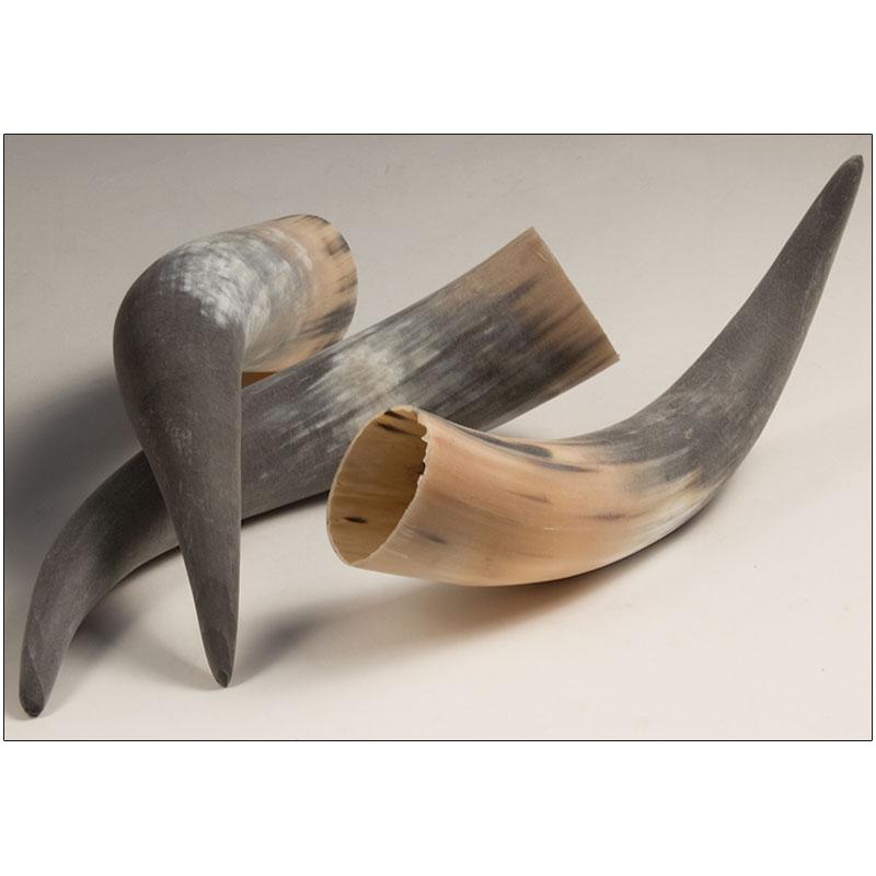 Sanded Steerhorn