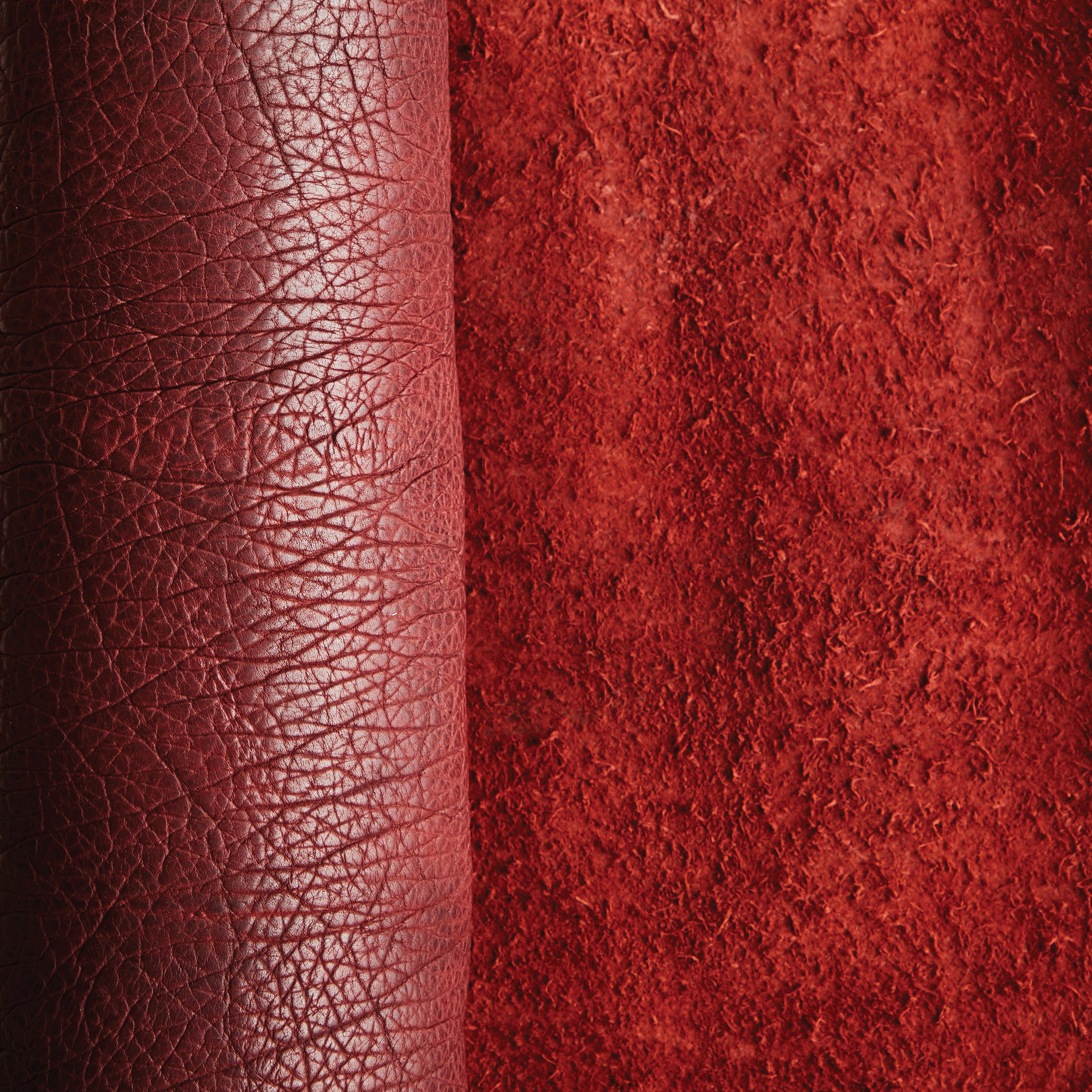 Frontier Bison Side | Tandy Leather — Tandy Leather Canada