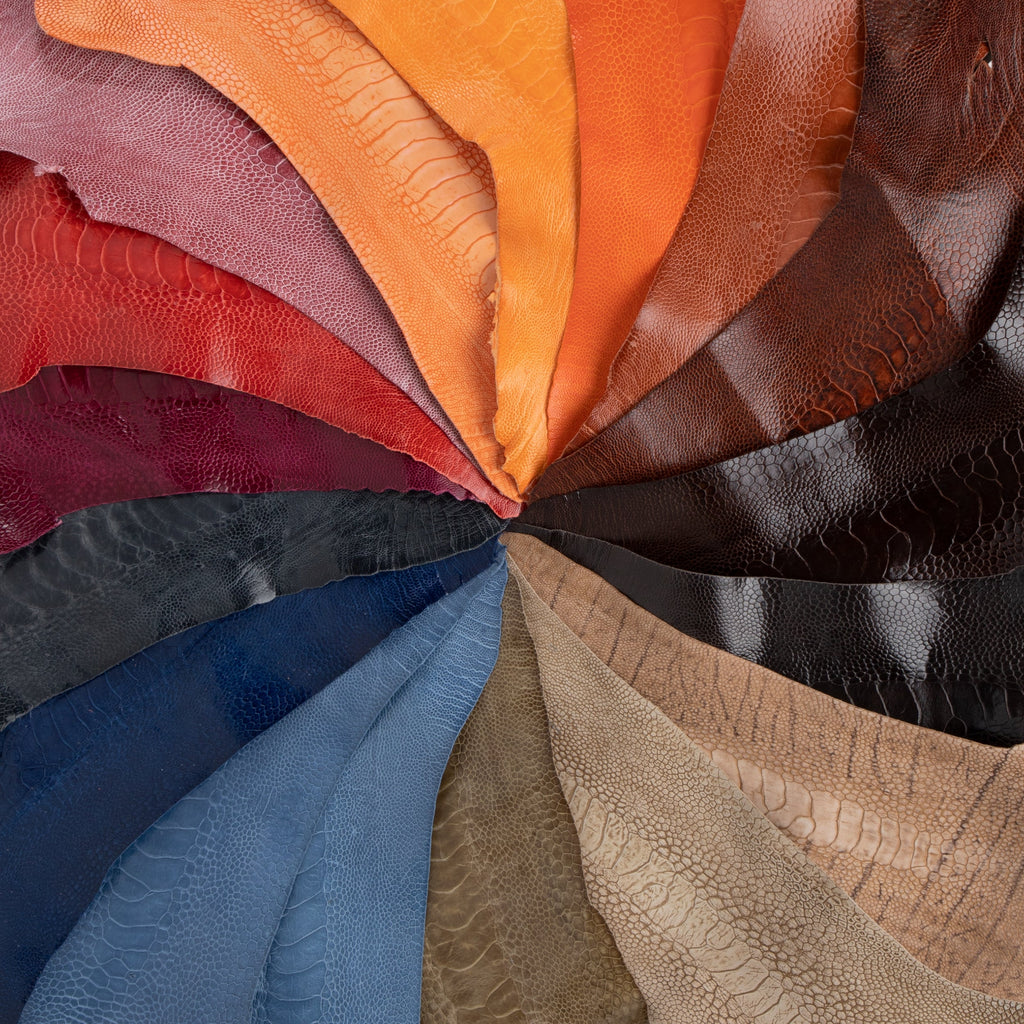 Tandy Leather — Tandy Leather Canada