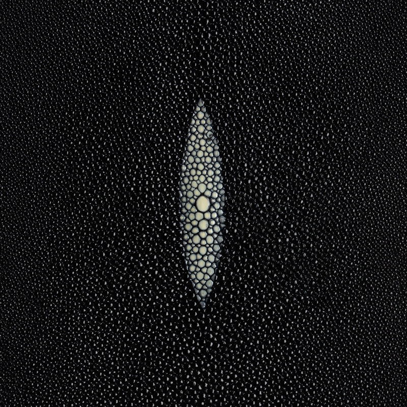 Stingray Small Skin
