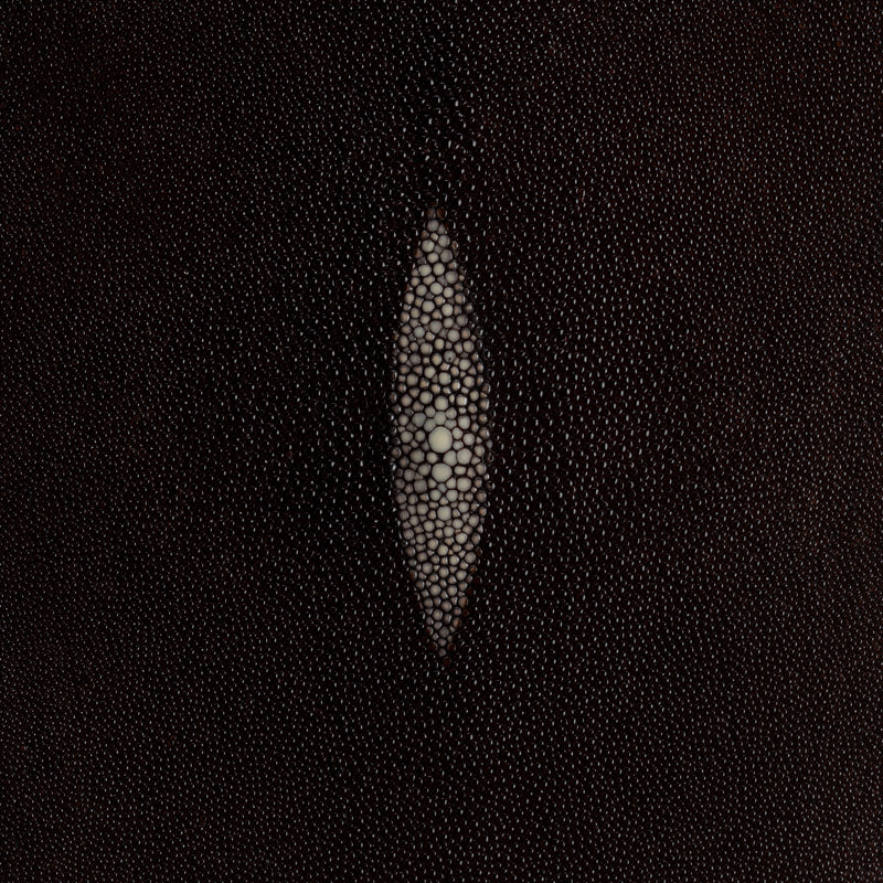 Stingray Small Skin