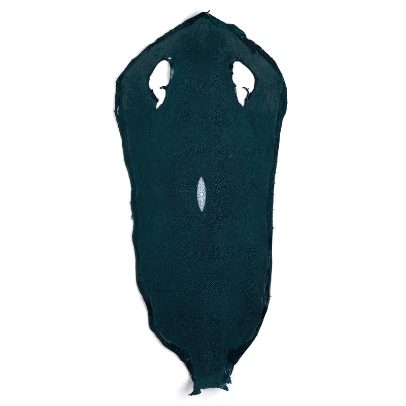 Stingray Small Skin