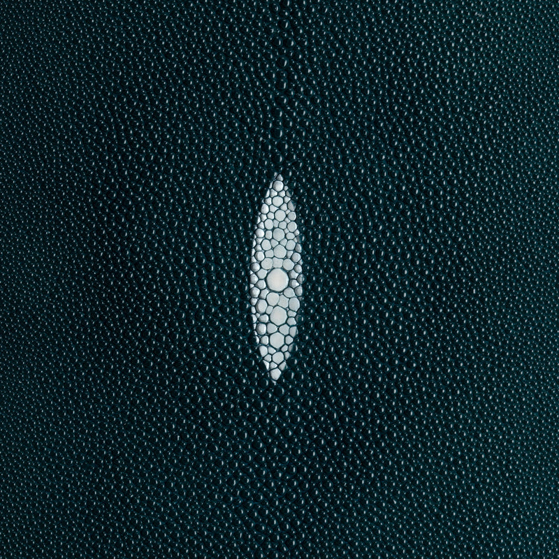 Stingray Small Skin