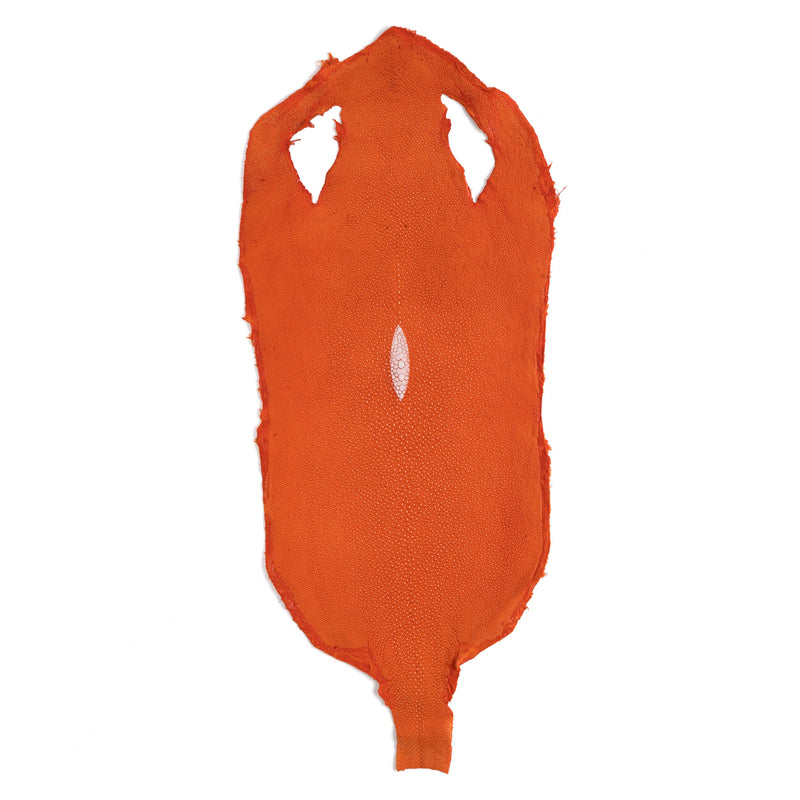 Stingray Small Skin