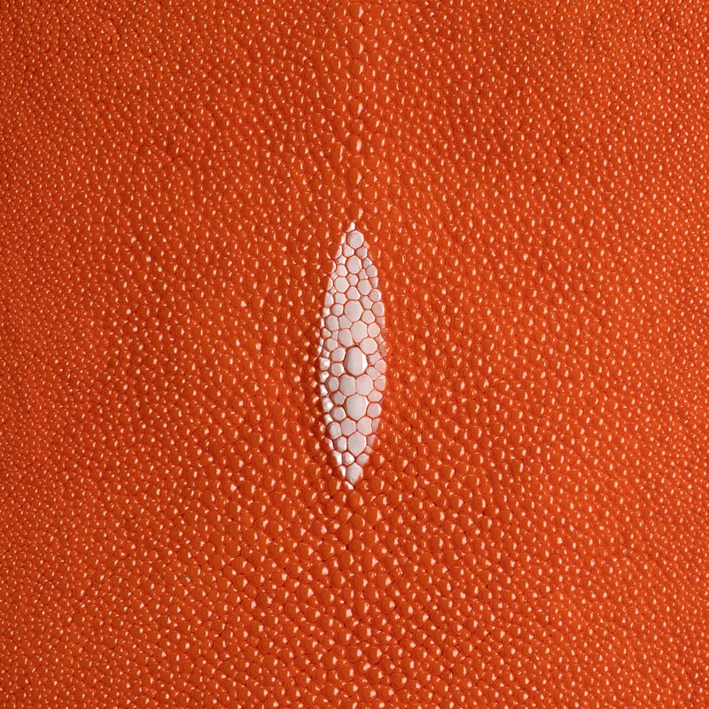 Stingray Small Skin