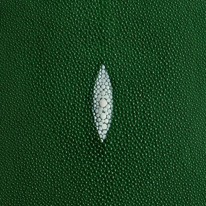 Stingray Small Skin
