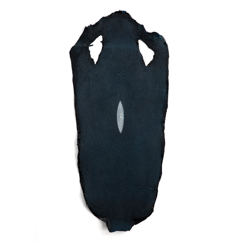 Stingray Small Skin