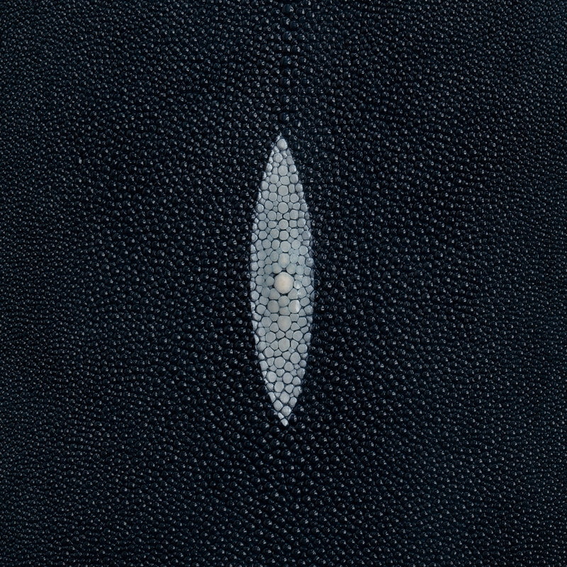 Stingray Small Skin