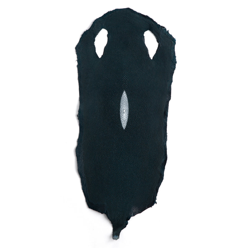 Stingray Small Skin - FINAL SALE
