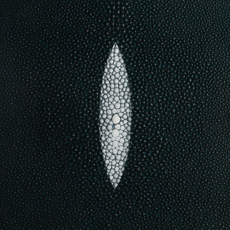 Stingray Small Skin - FINAL SALE