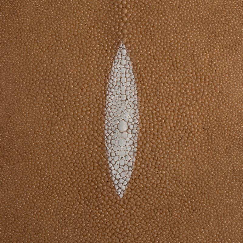 Stingray Small Skin - FINAL SALE