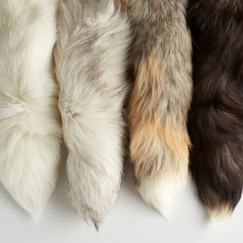 Fox Tail Assorted