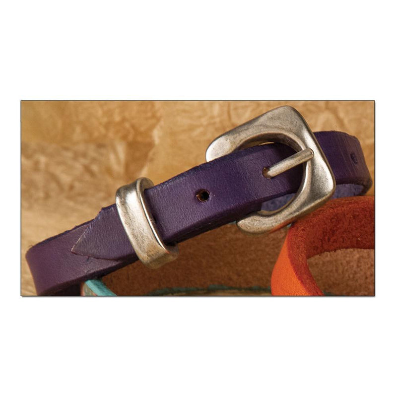 Bracelet Buckle Set