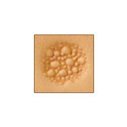 M882 Craftool® Matting Stamp