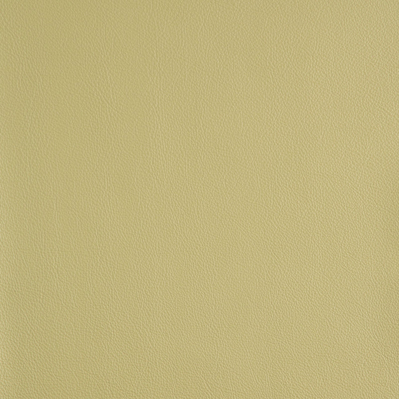Kaleidoscope Linea Whole Hides - Brights