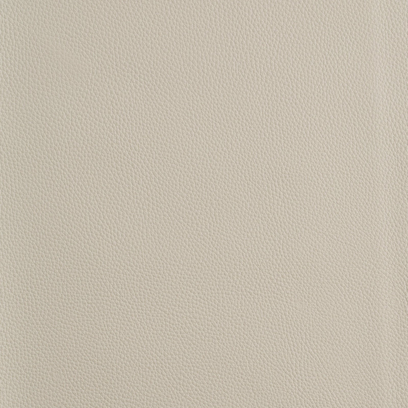 Kaleidoscope Prescott Whole Hides - Cool Tones