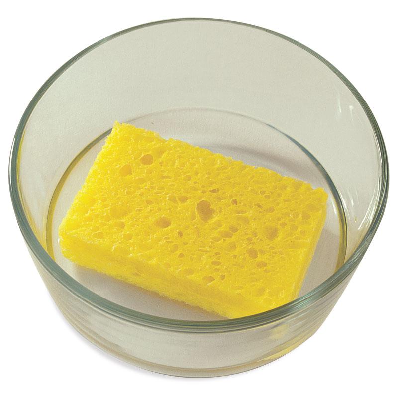 Cellulose Sponge