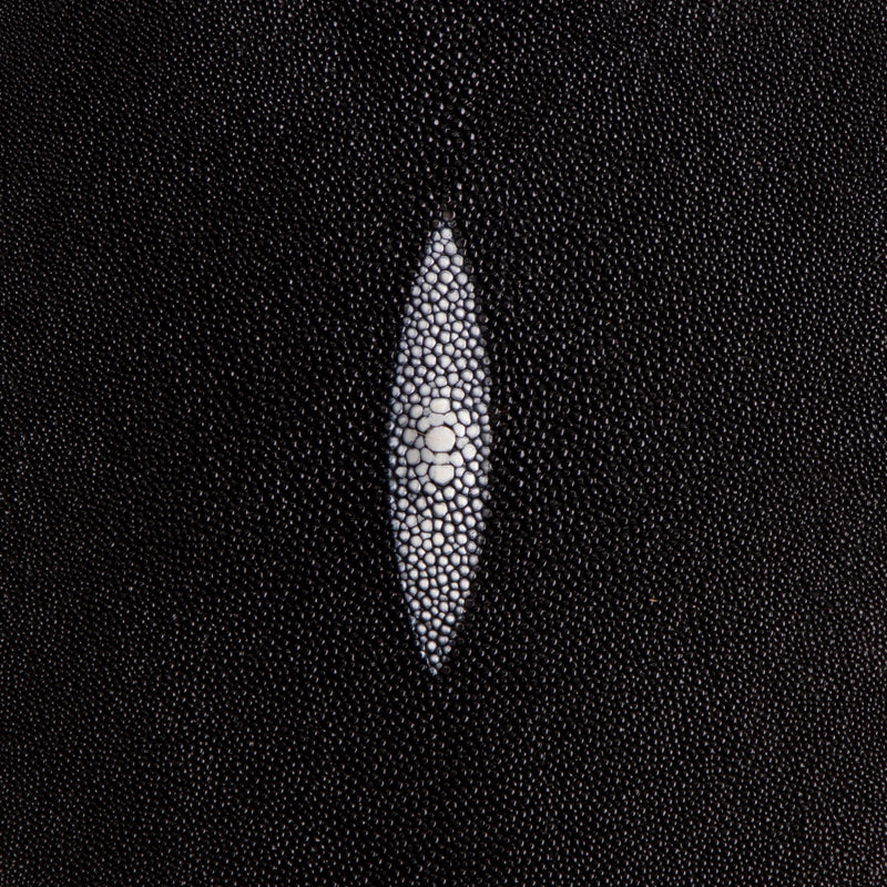 Stingray Small Skin