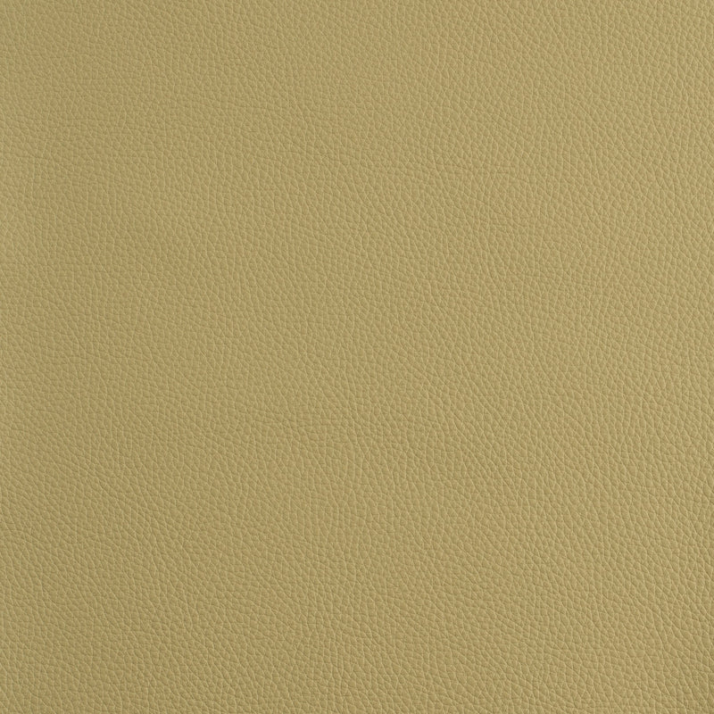 Kaleidoscope Prescott Whole Hides - Cool Tones