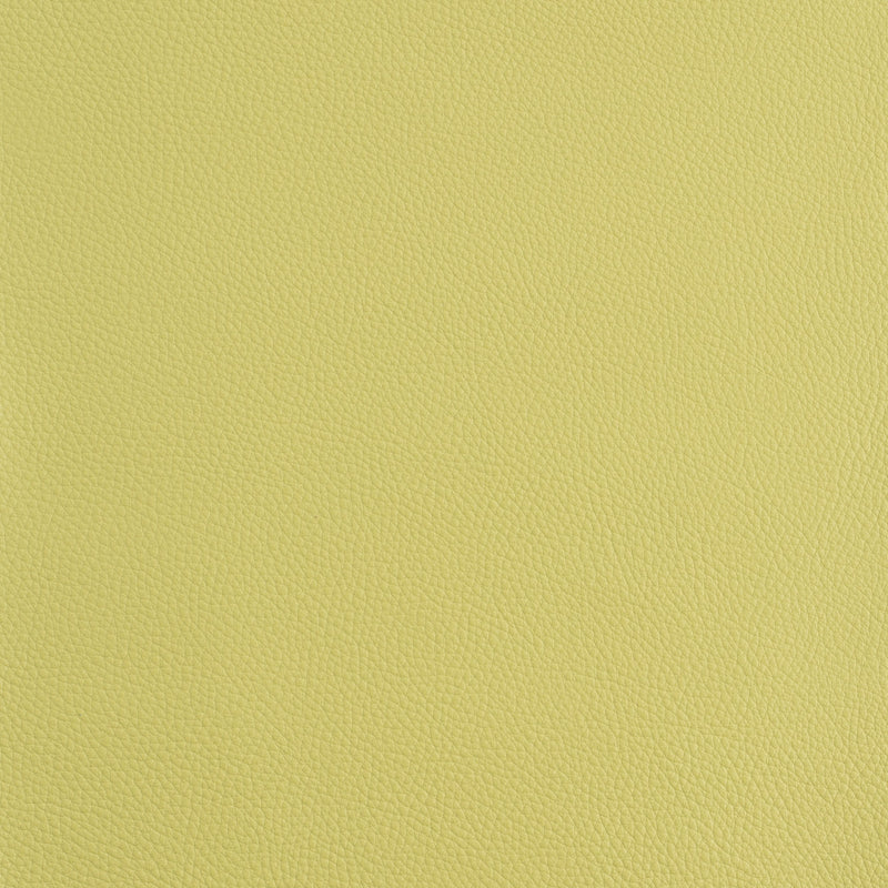 Kaleidoscope Prescott Whole Hides - Cool Tones