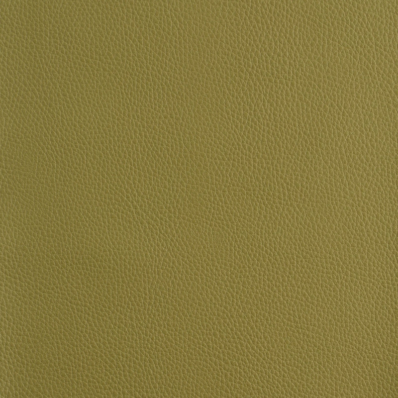 Kaleidoscope Prescott Whole Hides - Cool Tones