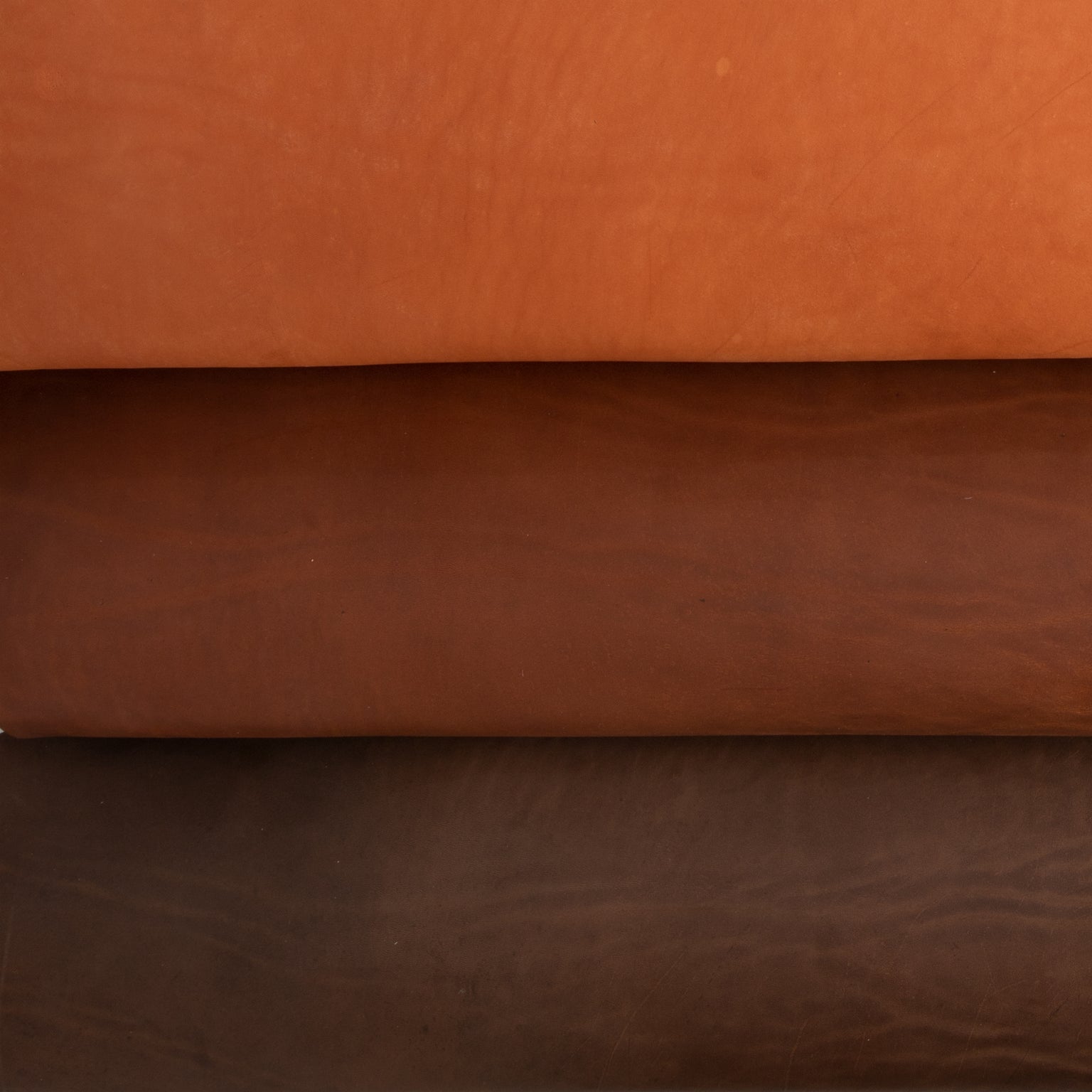 Tandy Leather — Tandy Leather Canada