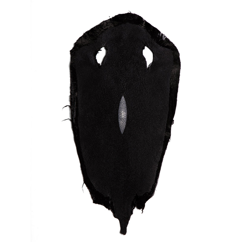 Stingray Small Skin