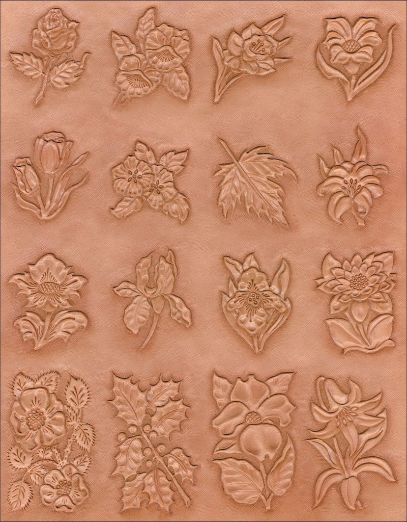 plants-craftaid-75000-00-